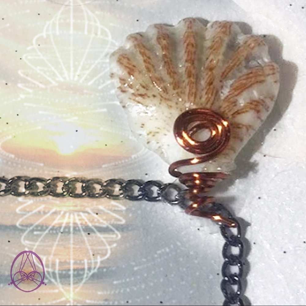 Bear Paw Shell Necklace